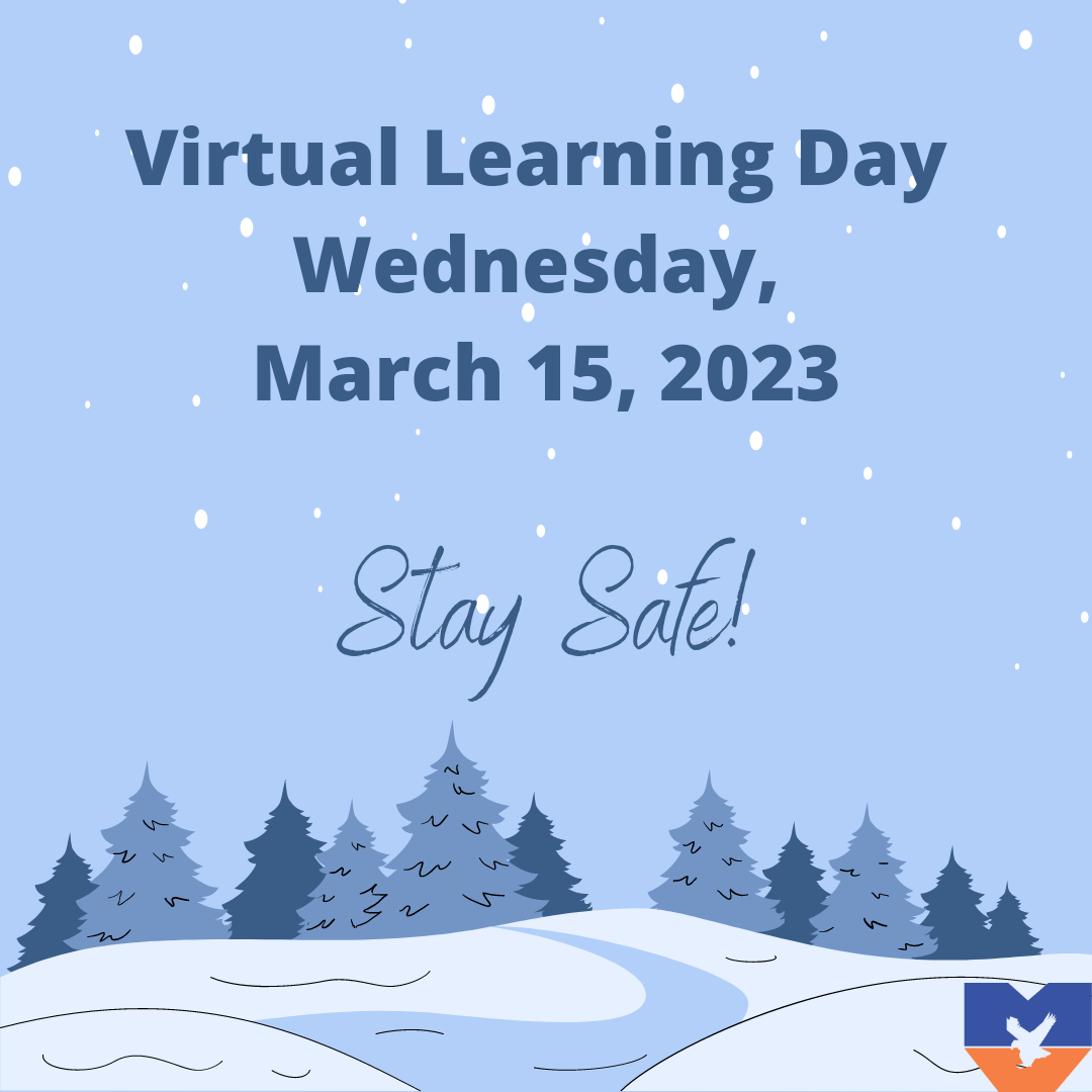 Virtual Learning Day